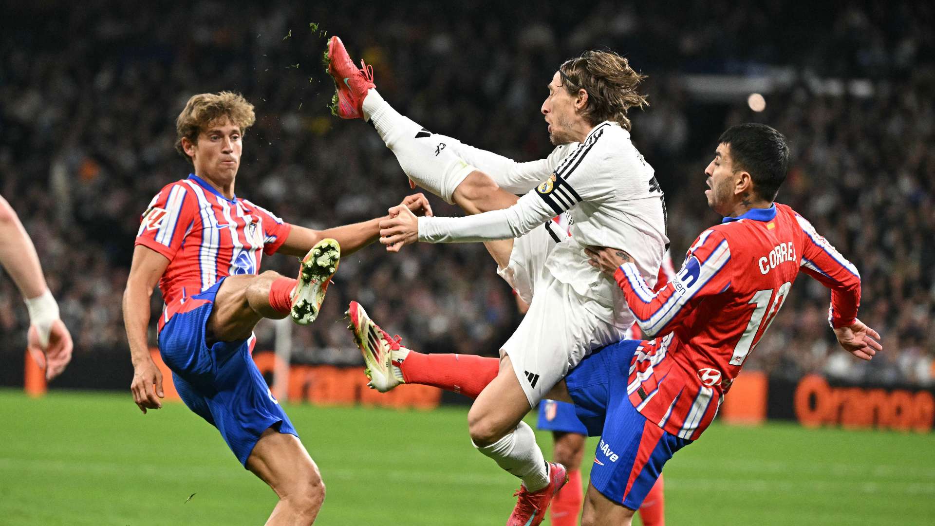 身实力的提 身实力的提