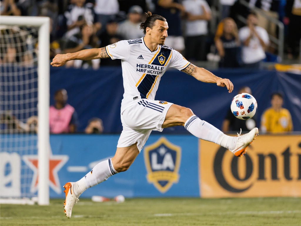 特别提到 特别提到